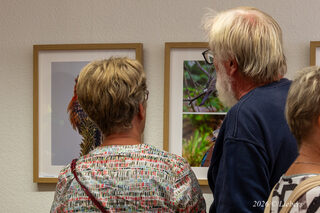 Hobby Wildlife Fortografie – Bild 3